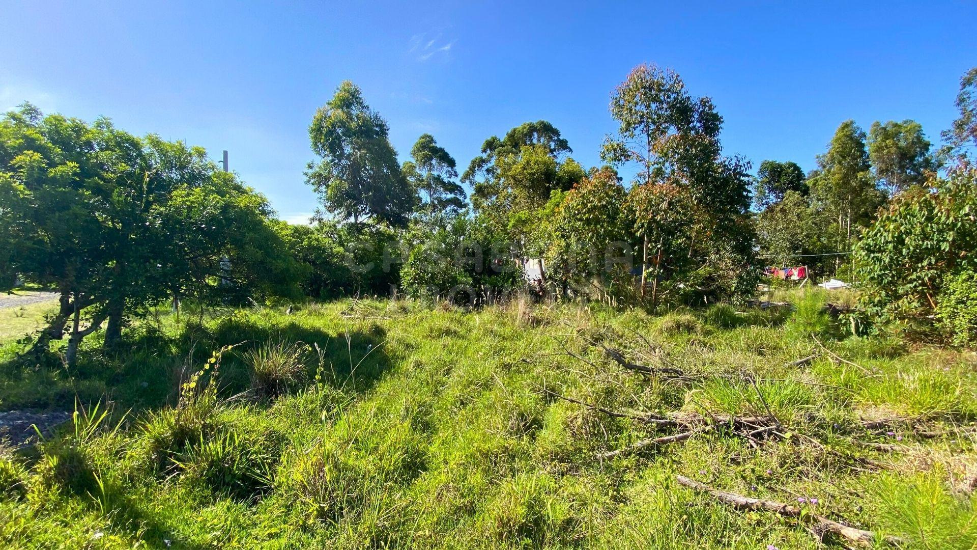 Oportunidade de Terreno no Balneário Figueirinha