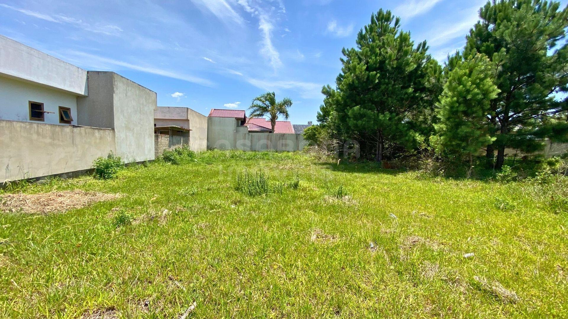 Terreno Amplo com Excelente Acesso