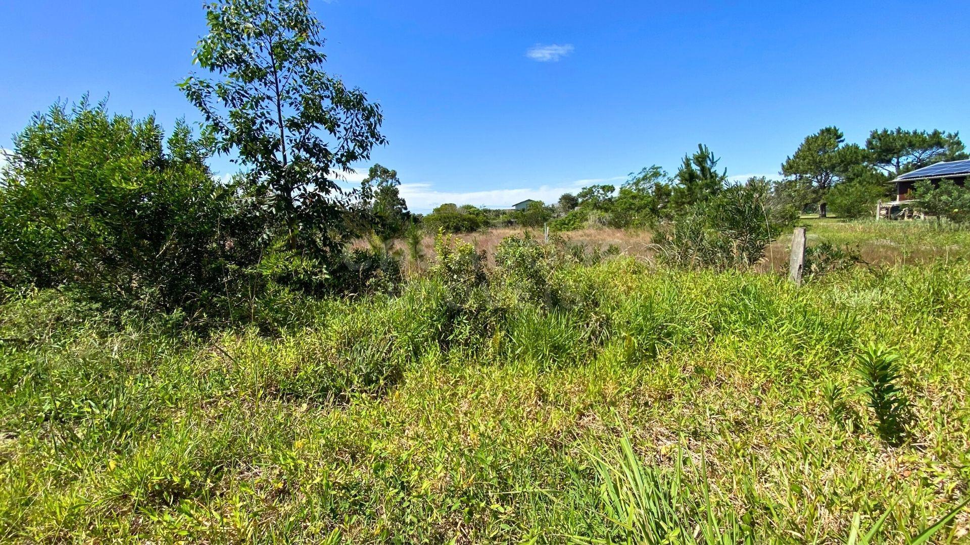 Terreno com Posição Solar Norte em Localização Perfeita para Construir