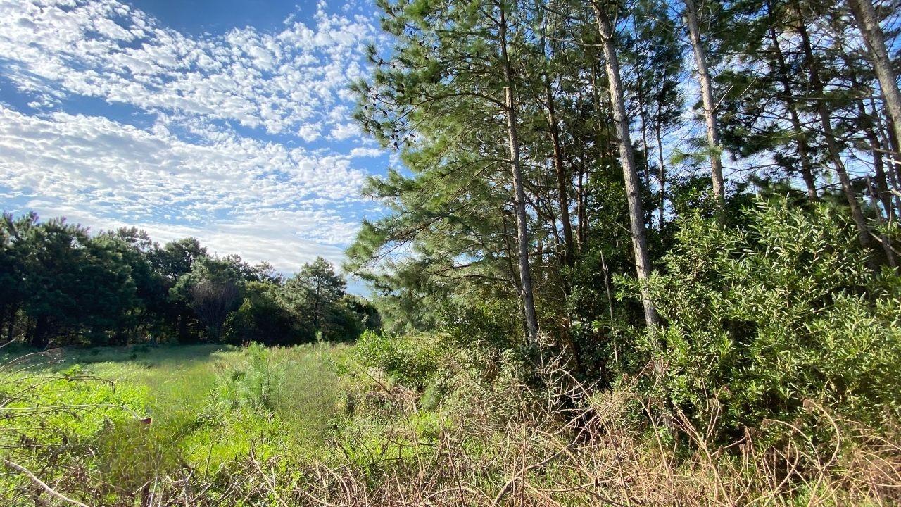 Lindo Terreno no Balneário Atlântico em Arroio do Sal