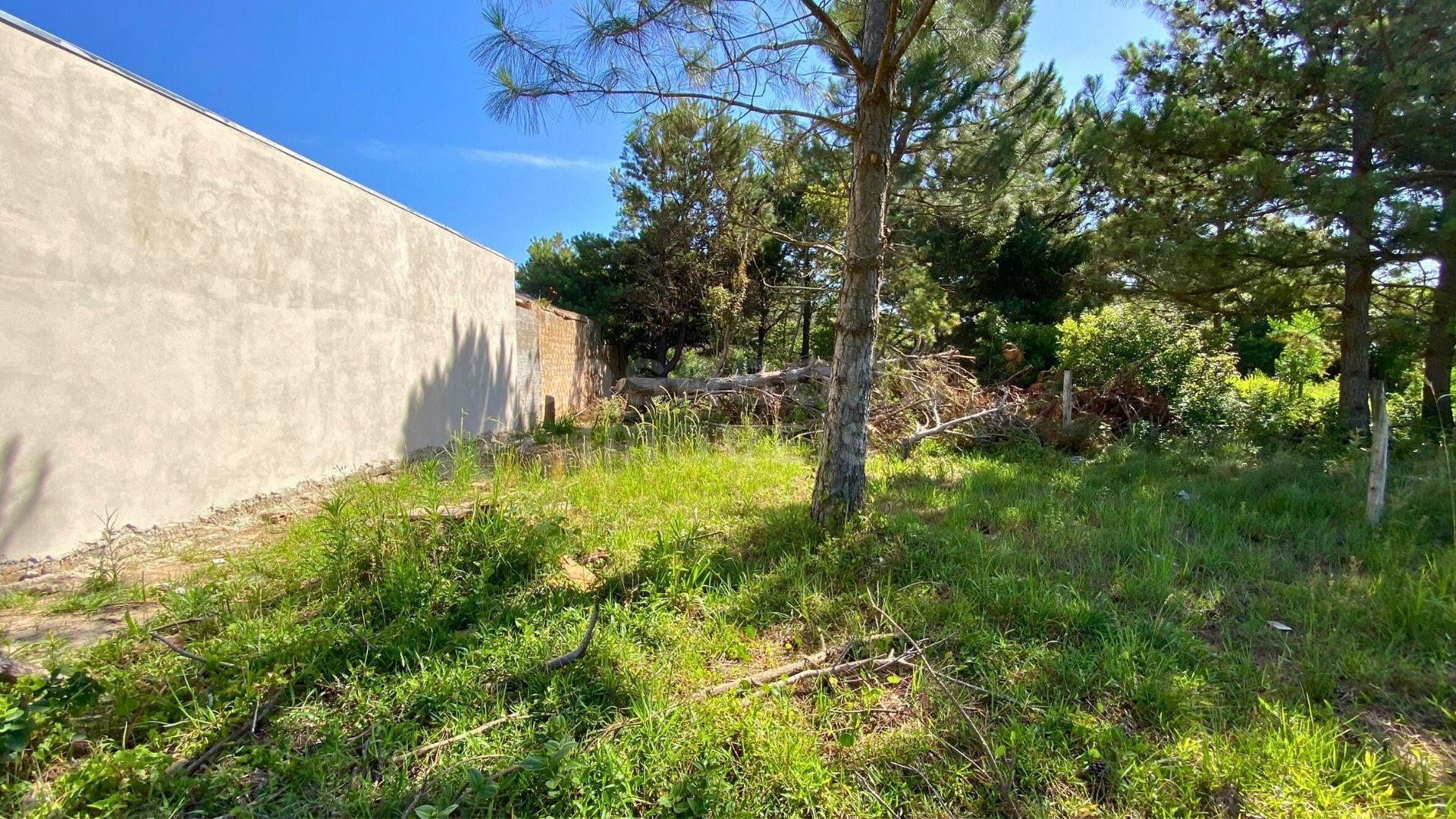 Terreno 10 x 30 no Balneário Figueirinha – Iluminação Ideal e Excelente Espaço para Construir