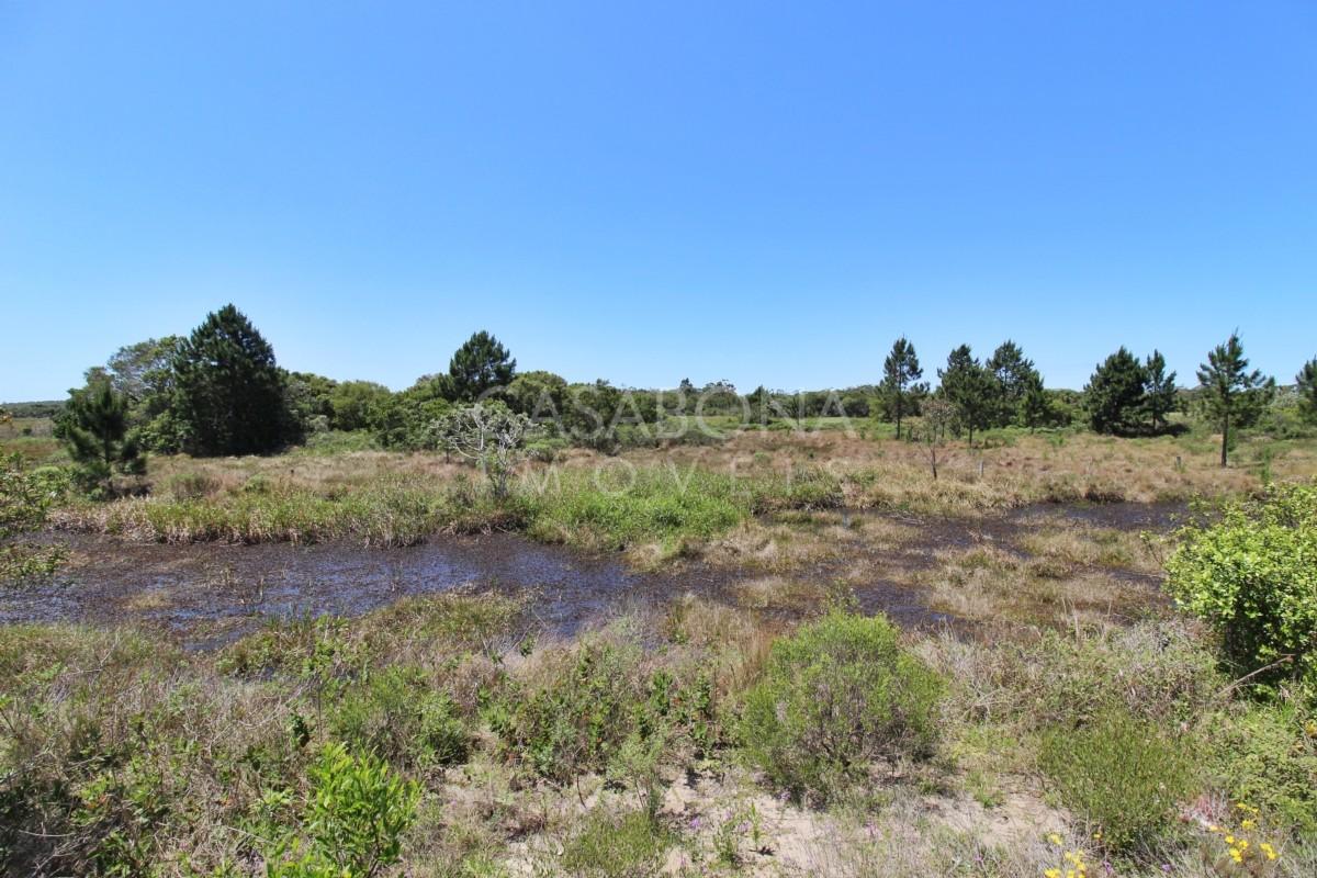 Excelente Oportunidade de Investimento no Balneário Bom Jesus