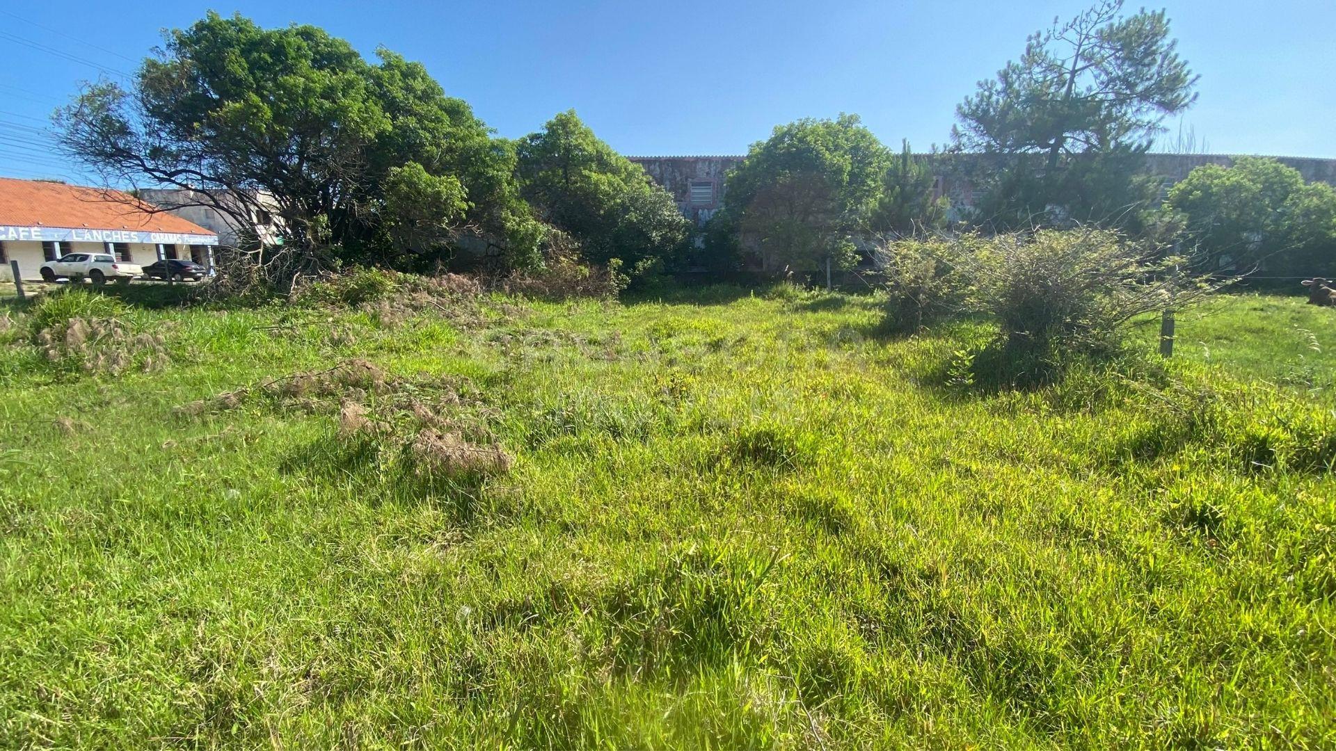 Terreno 12 x 25 no Balneário Figueirinha – Iluminação Privilegiada e Excelente Potencial de Construção