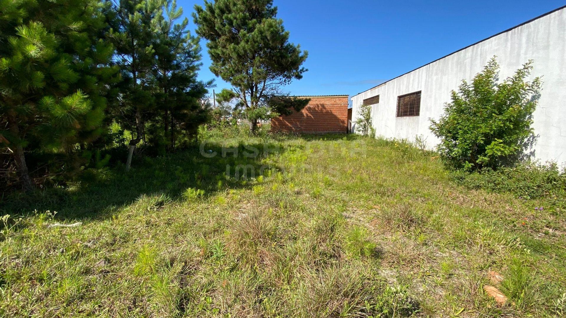 Terreno 10 x 30 no Balneário Figueirinha – Amplo, Bem Localizado e Pronto para Construir