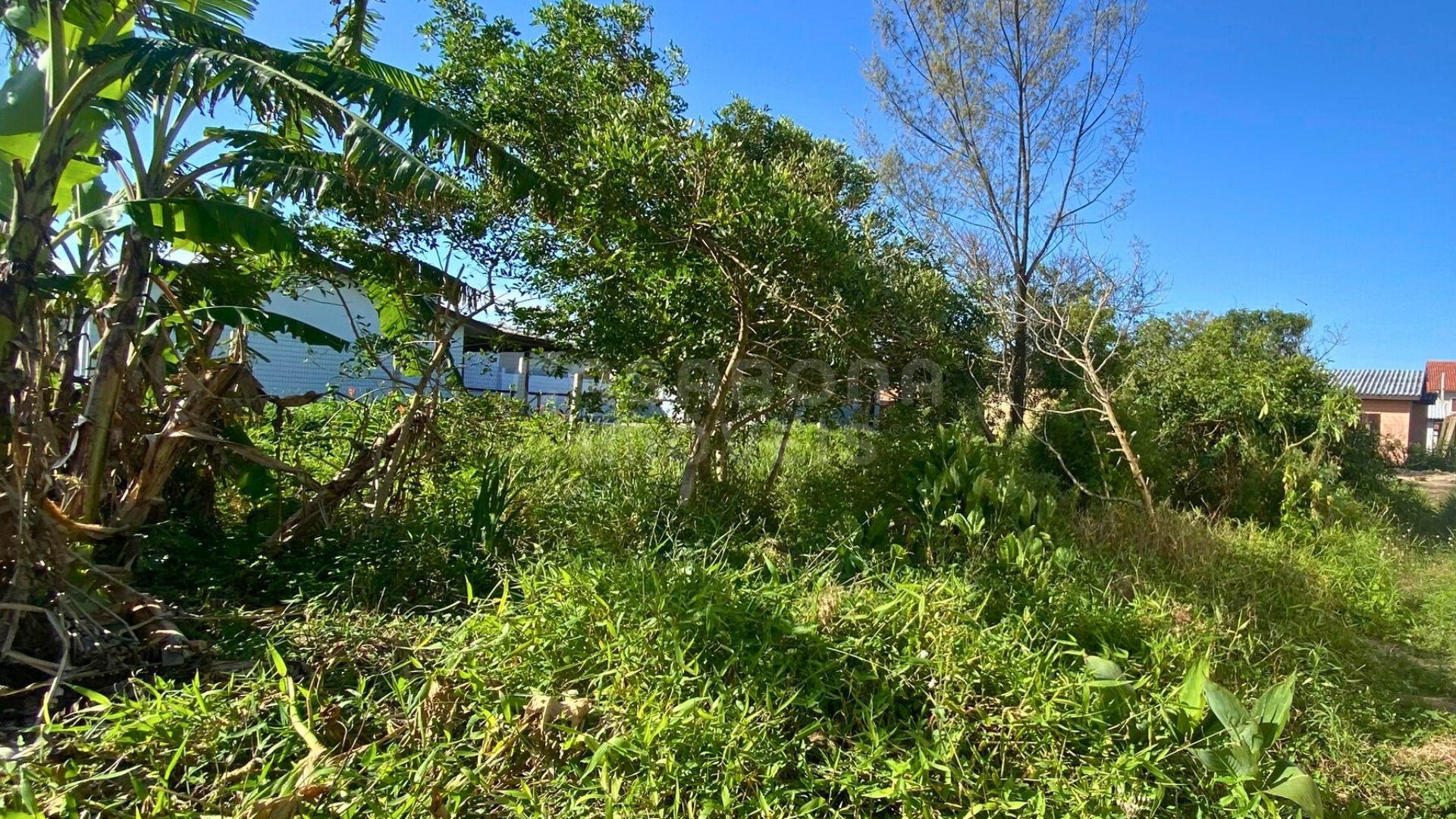 Terreno 10 x 30 no Balneário Figueirinha – Espaço, Tranquilidade e Excelente Potencial