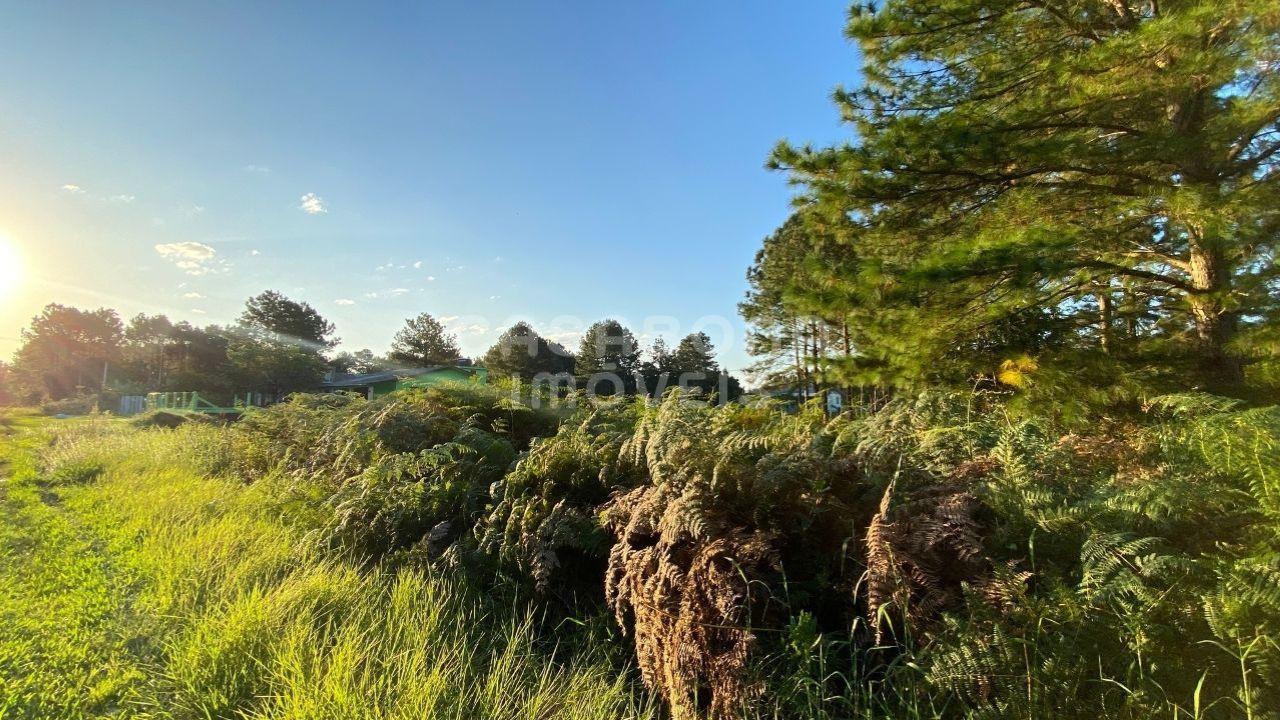 Terreno Residencial em Pinus Park, Arroio do Sal