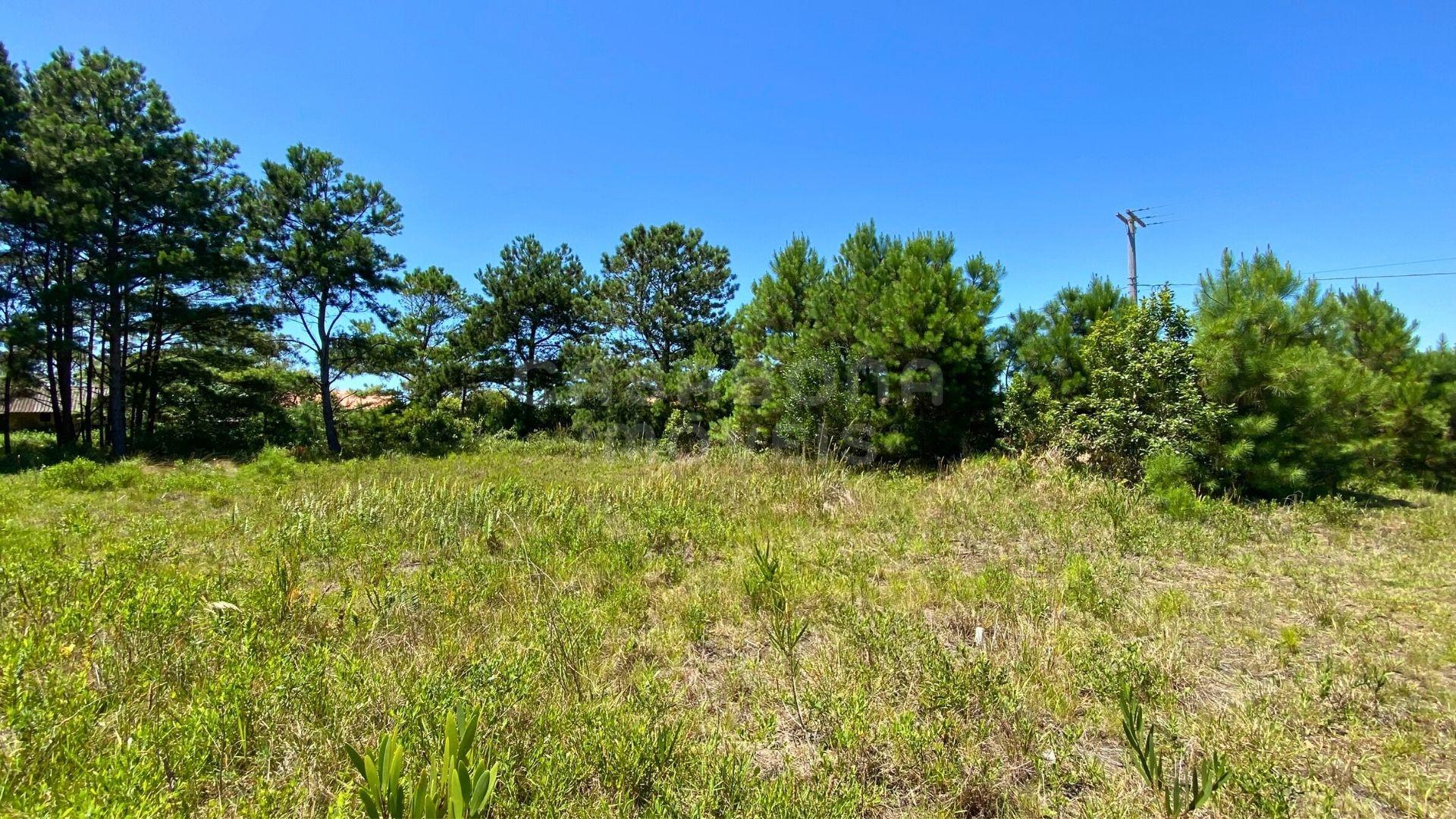 Terreno no Balneário Atlântico – Excelente Lote para Construção e Investimento