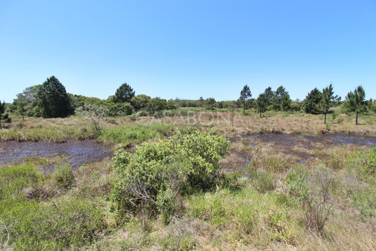 Excelente Oportunidade de Investimento no Balneário Bom Jesus