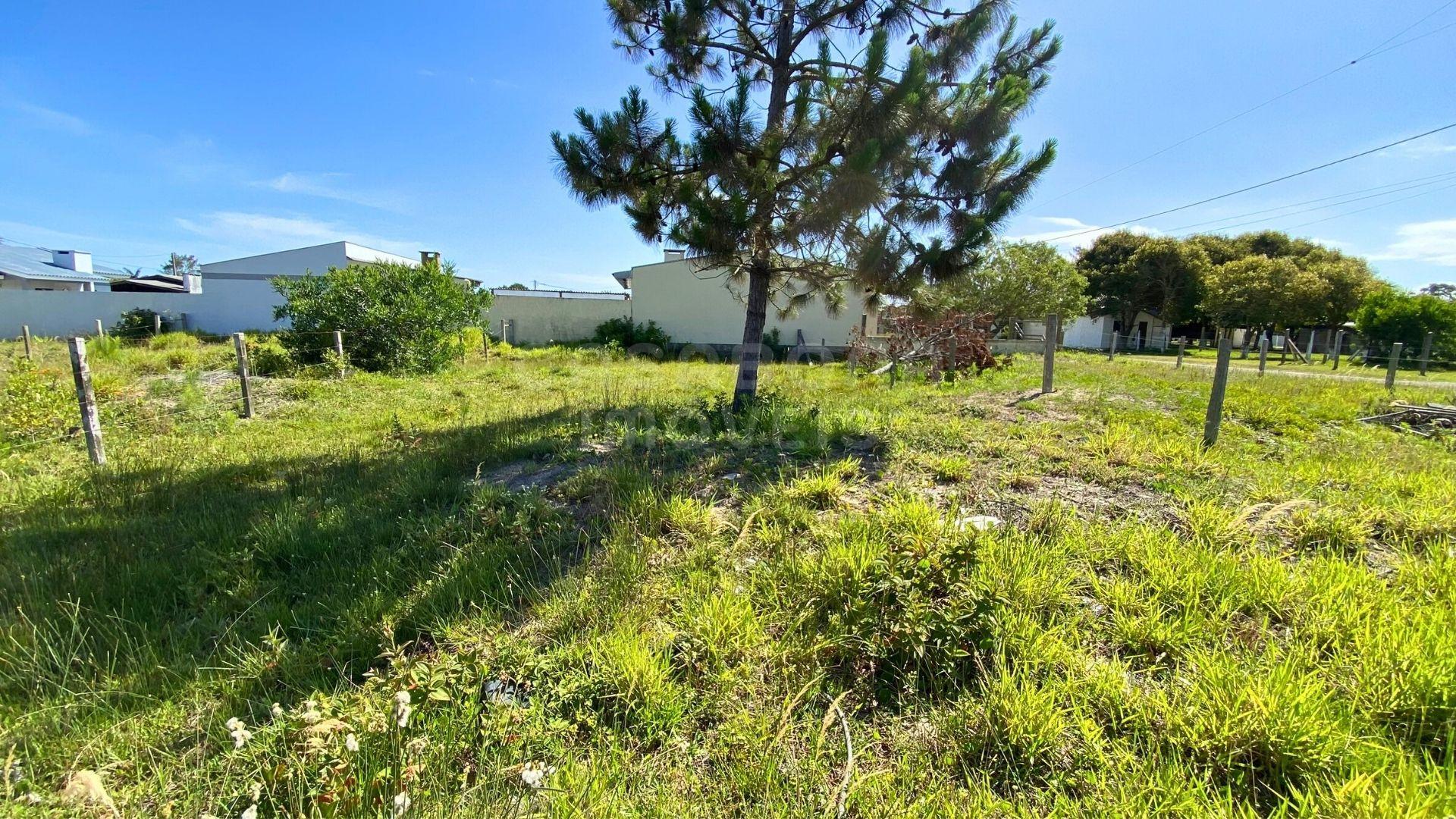 Terreno 12 x 25 no Balneário Figueirinha – Iluminação Norte e Excelente Potencial de Construção