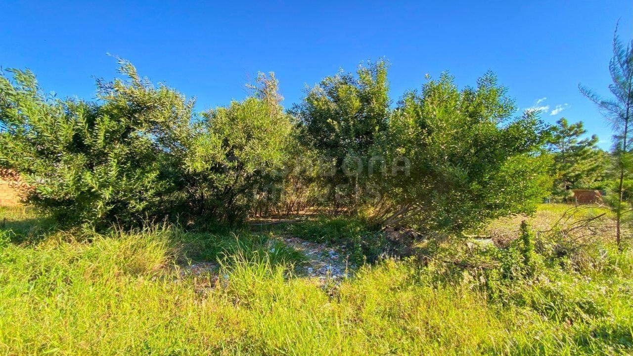 Terreno Ensolarado em Figueirinha, Arroio do Sal