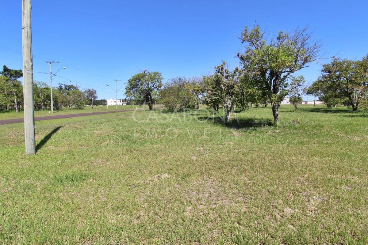 Desfrute do Parque das Figueiras: Seu Refúgio de Tranquilidade