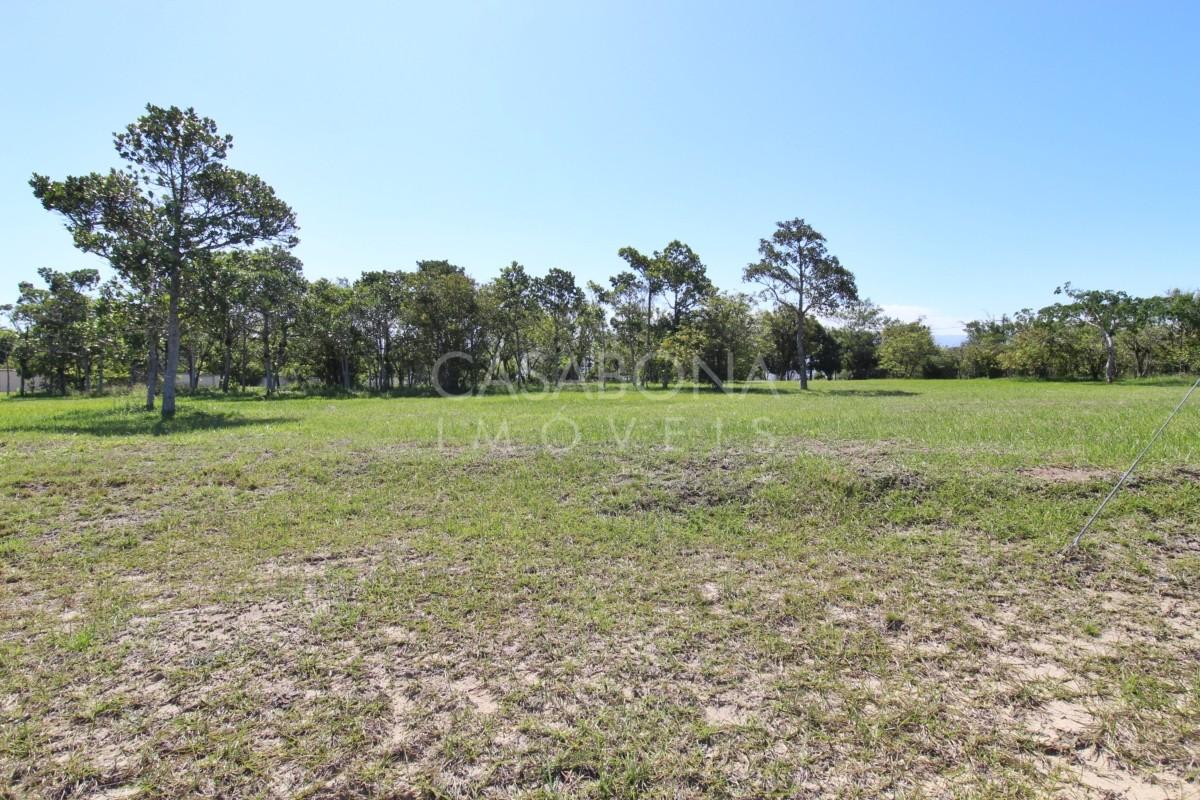 Explore o Parque das Figueiras: Sua Verdadeira Essência ao Seu Alcance