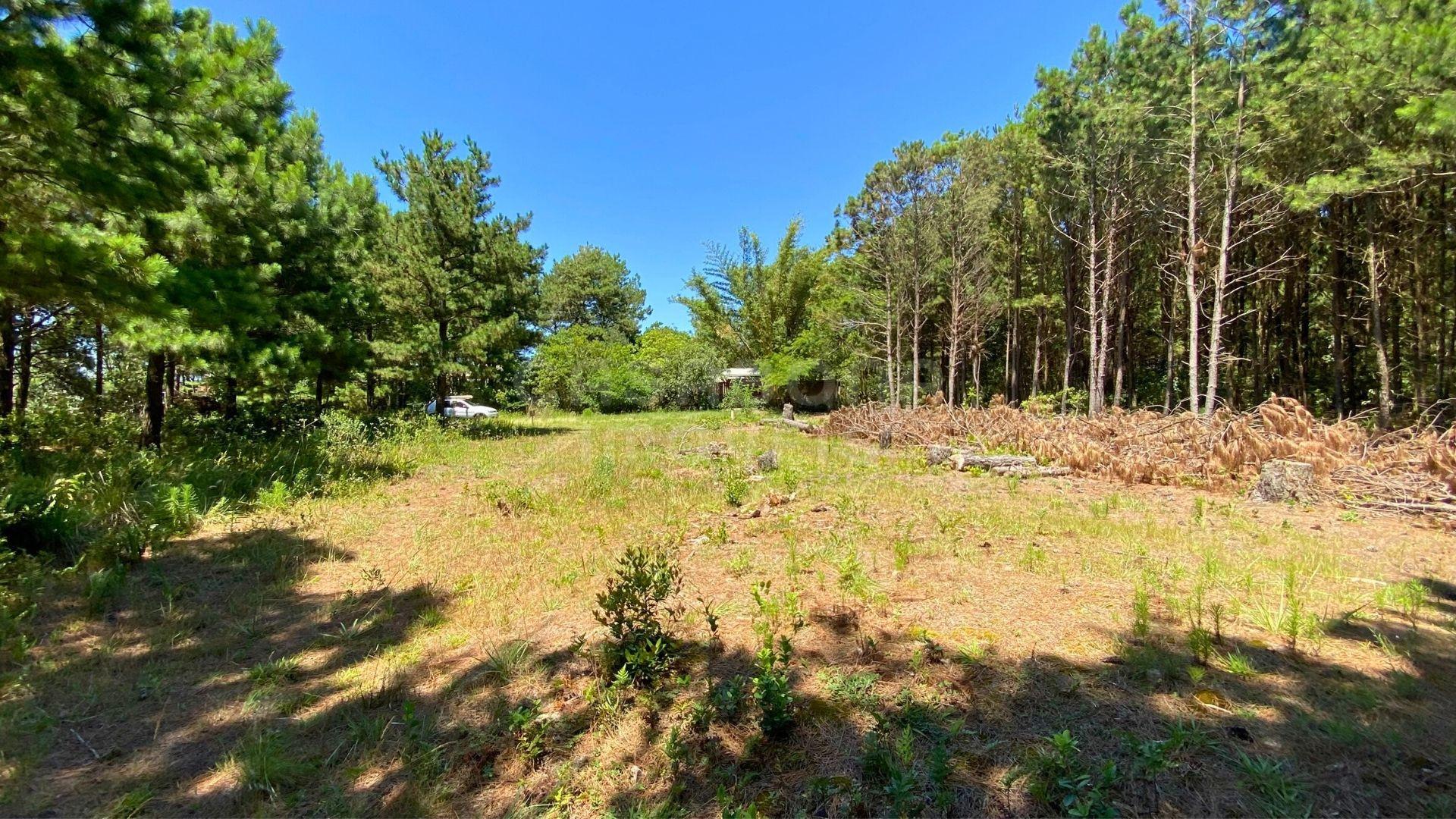 Terreno no Balneário Atlântico – Amplitude e Potencial para Construção