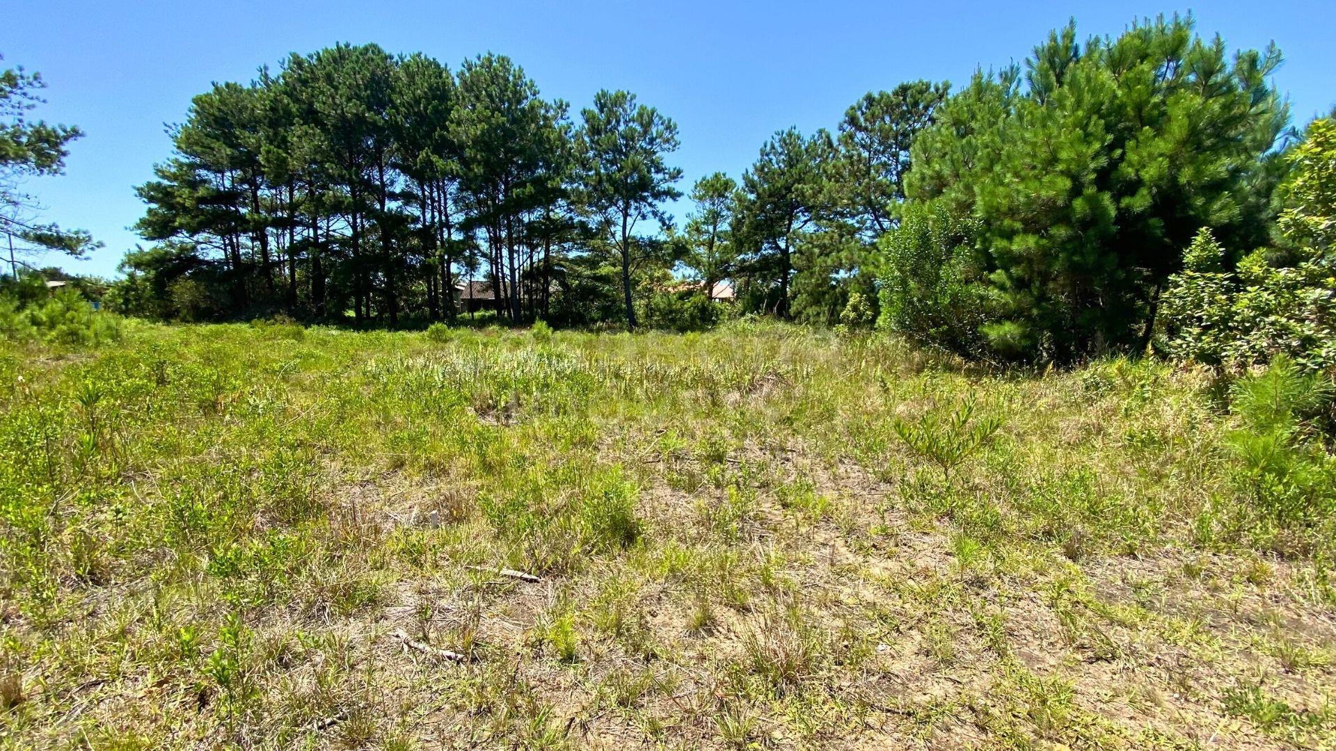 Terreno no Balneário Atlântico – Excelente Lote para Construção e Investimento