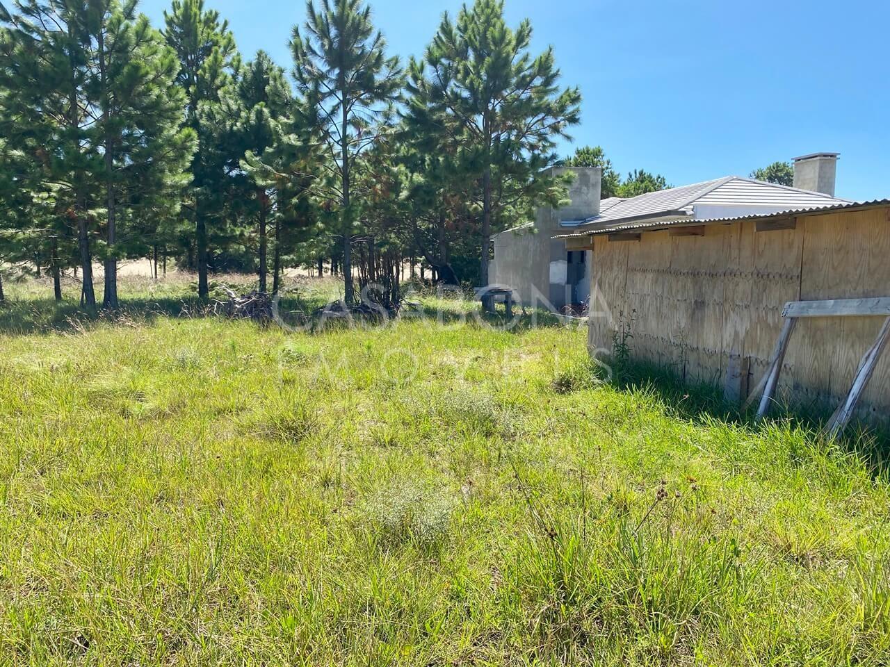 Oportunidade no Tupancy: terreno bem localizado a 800m do mar