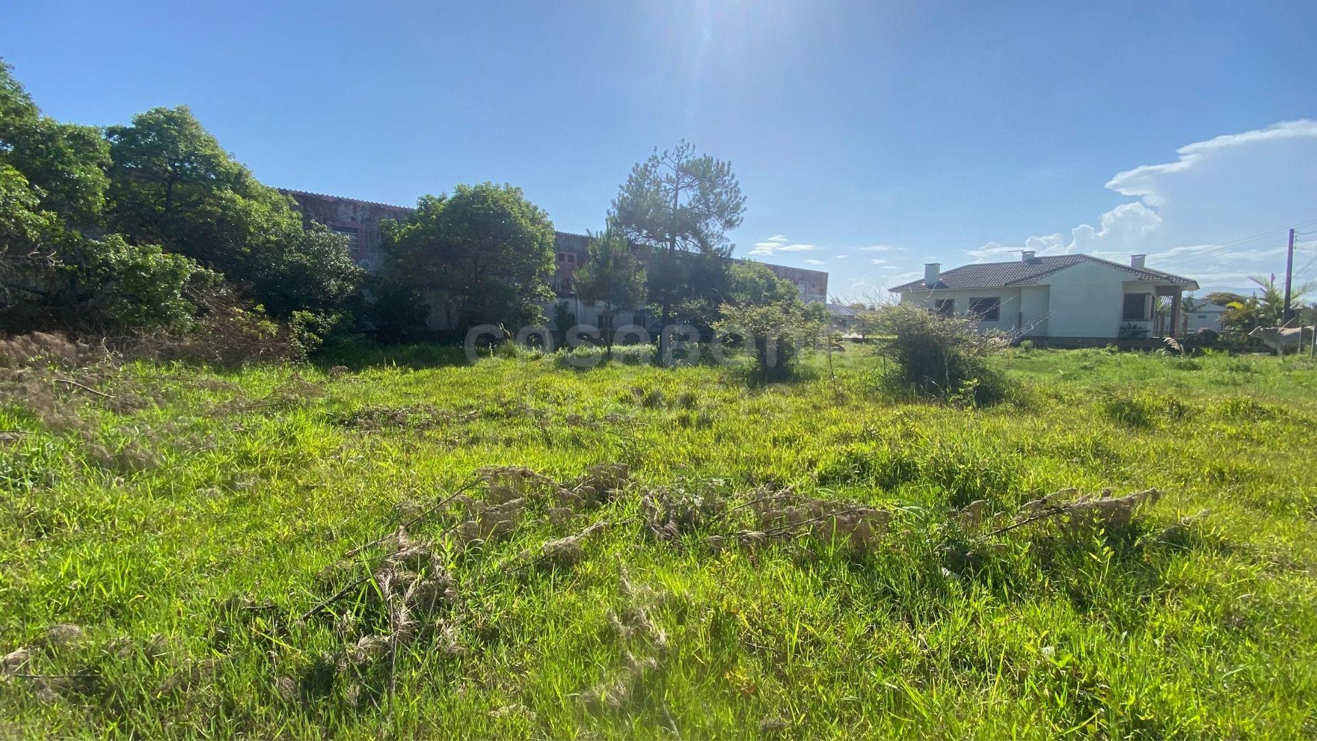 Terreno 12 x 25 no Balneário Figueirinha – Iluminação Privilegiada e Excelente Potencial de Construção