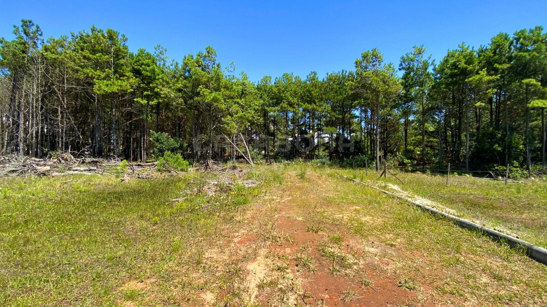 Oportunidade de Terreno no Balneário Atlântico – Pronto para Construir