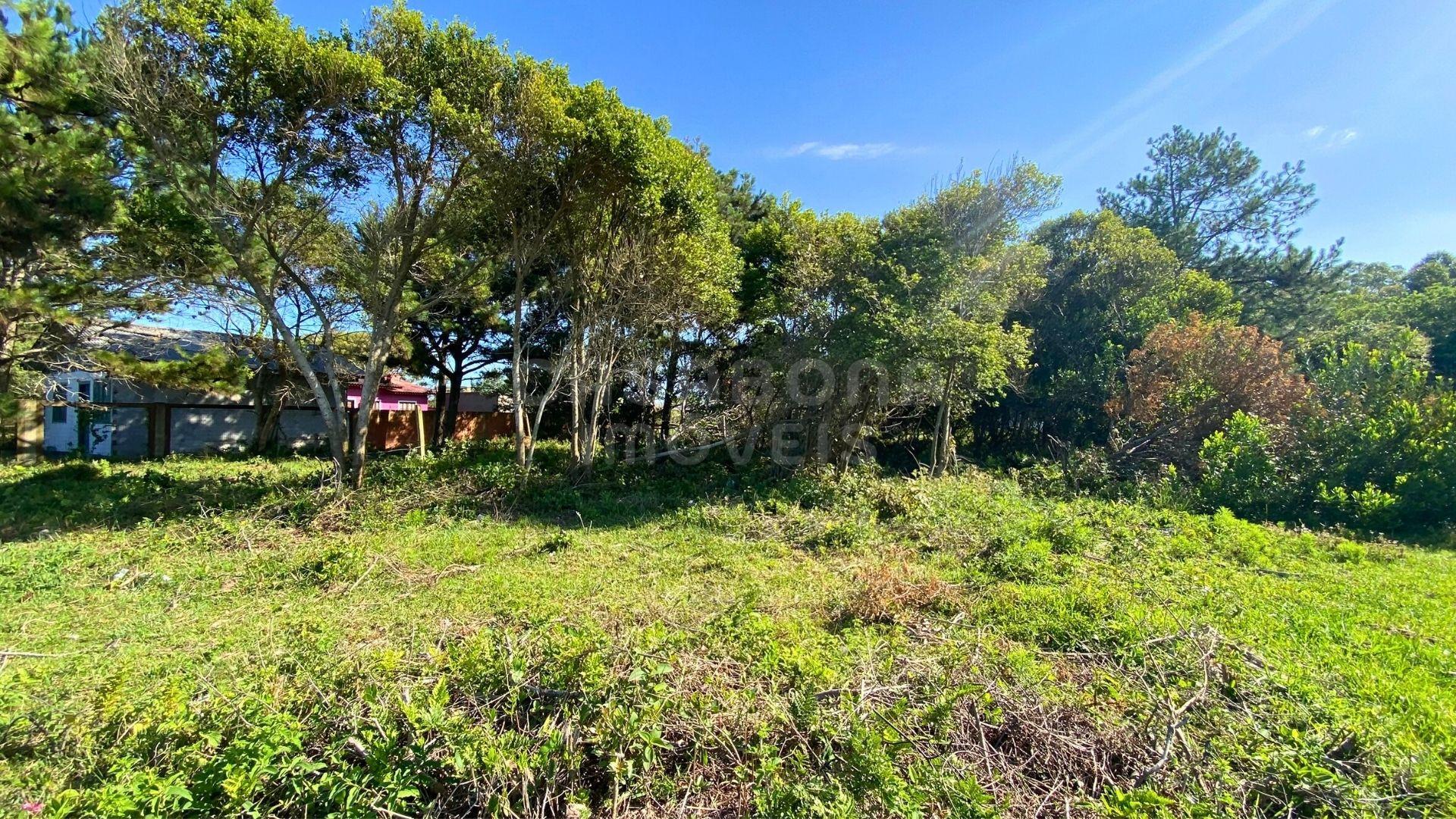 Terreno 11 x 29,7 no Balneário Figueirinha – Amplitude, Valorização e Excelente Iluminação