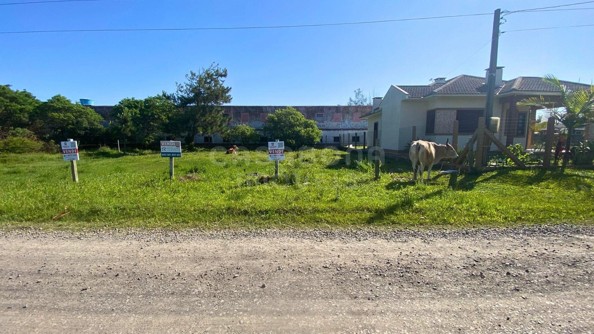 Terreno 12 x 25 no Balneário Figueirinha – Iluminação Privilegiada e Excelente Espaço para Construir