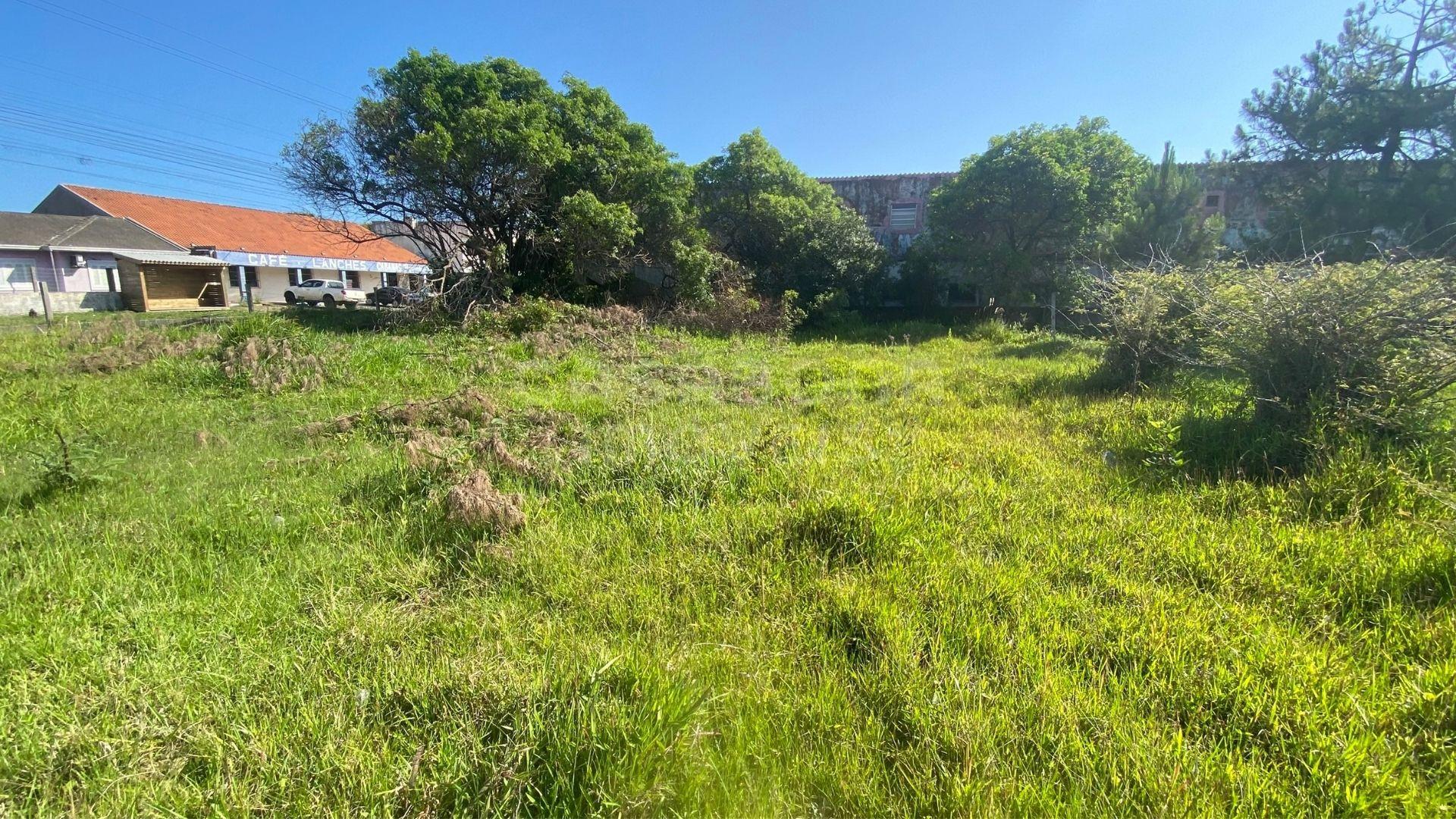 Terreno 12 x 25 no Balneário Figueirinha – Iluminação Privilegiada e Excelente Potencial de Construção