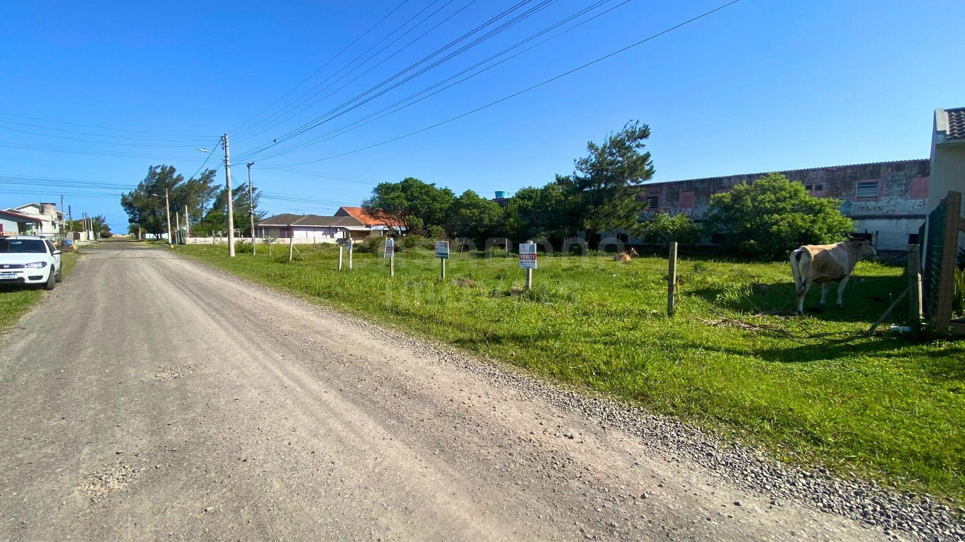 Terreno 12 x 25 no Balneário Figueirinha – Iluminação Privilegiada e Excelente Espaço para Construir