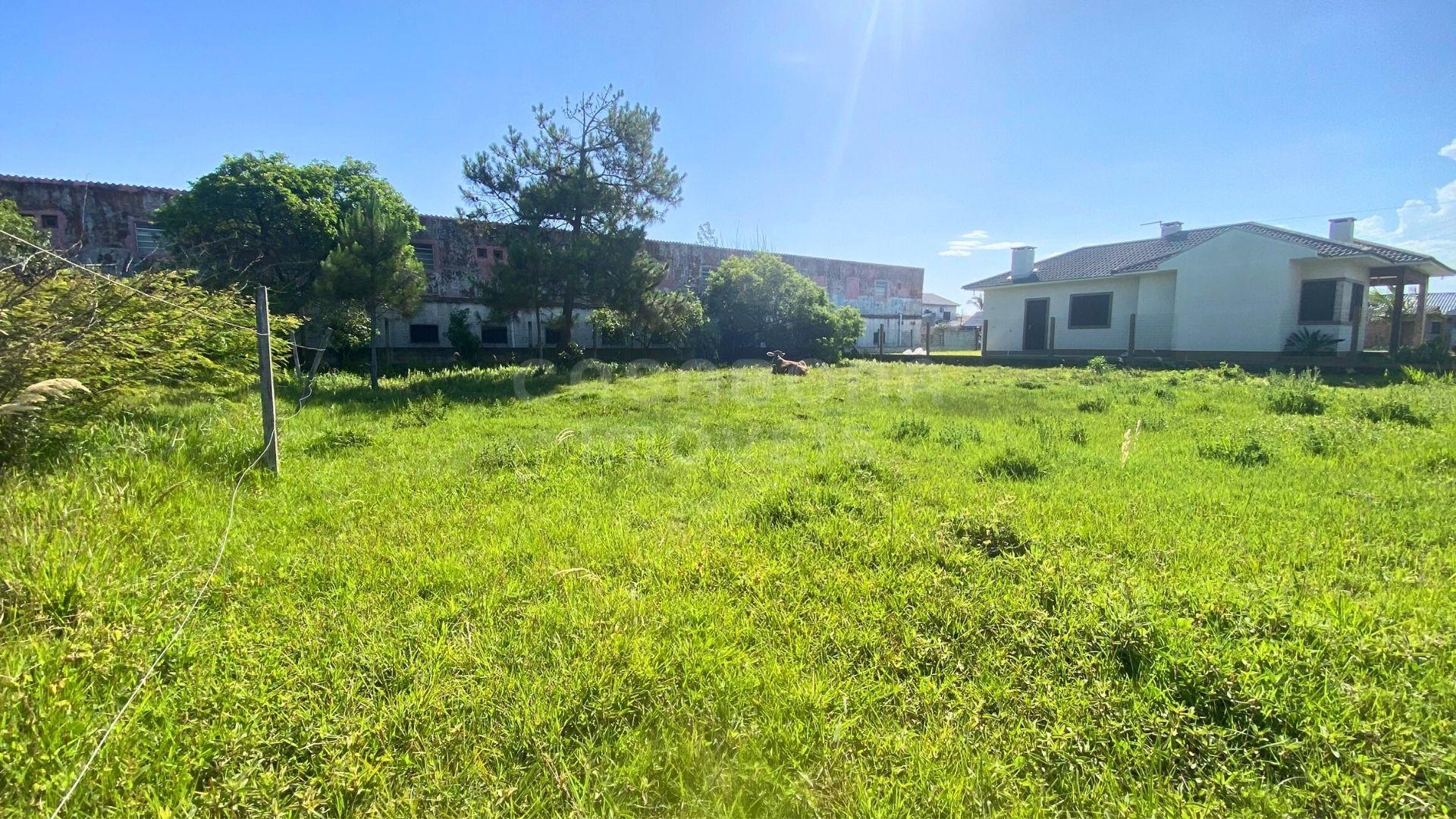 Terreno 12 x 25 no Balneário Figueirinha – Iluminação Privilegiada e Excelente Potencial de Construção