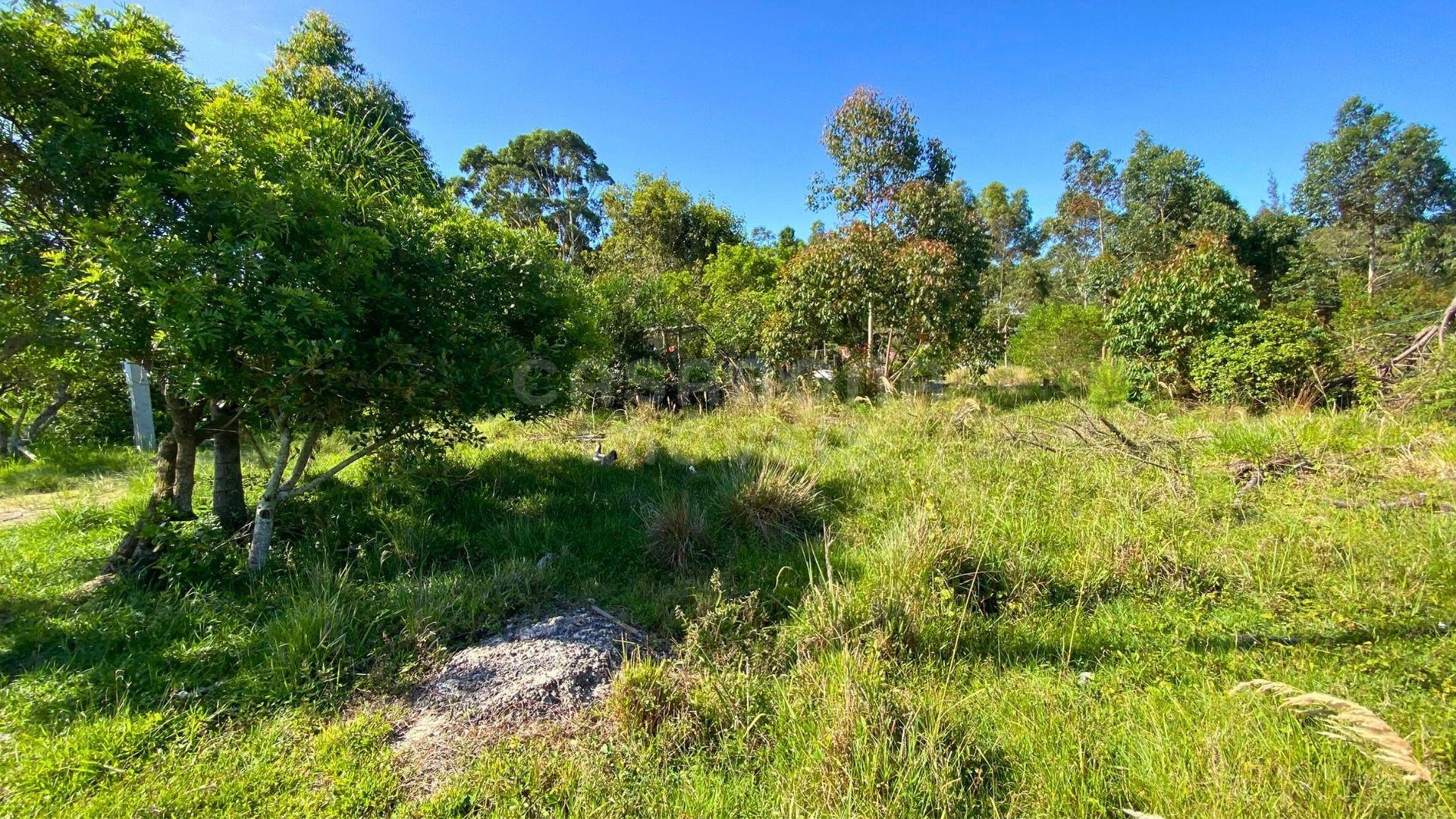 Oportunidade de Terreno no Balneário Figueirinha