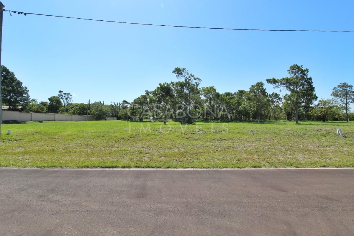 Explore o Parque das Figueiras: Conexão com Sua Essência