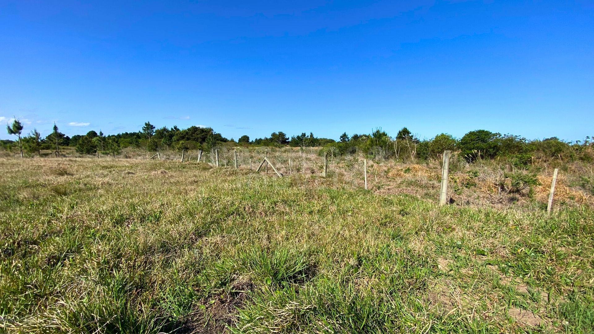 Seu Lote no Loteamento Mar Del Plata – Viva Perto do Mar com Qualidade de Vida!