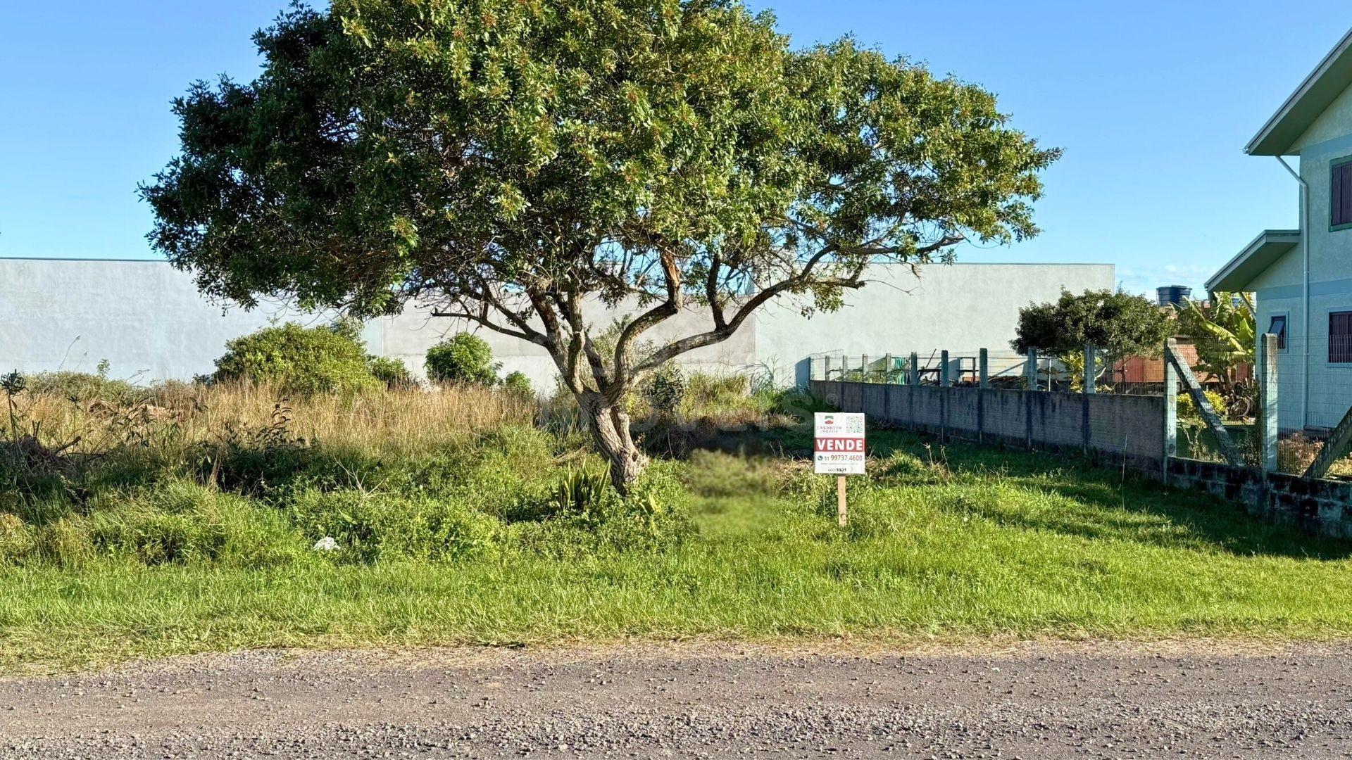 Terreno Amplo com Luz e Ótima Localização na Lagoa da Camboim