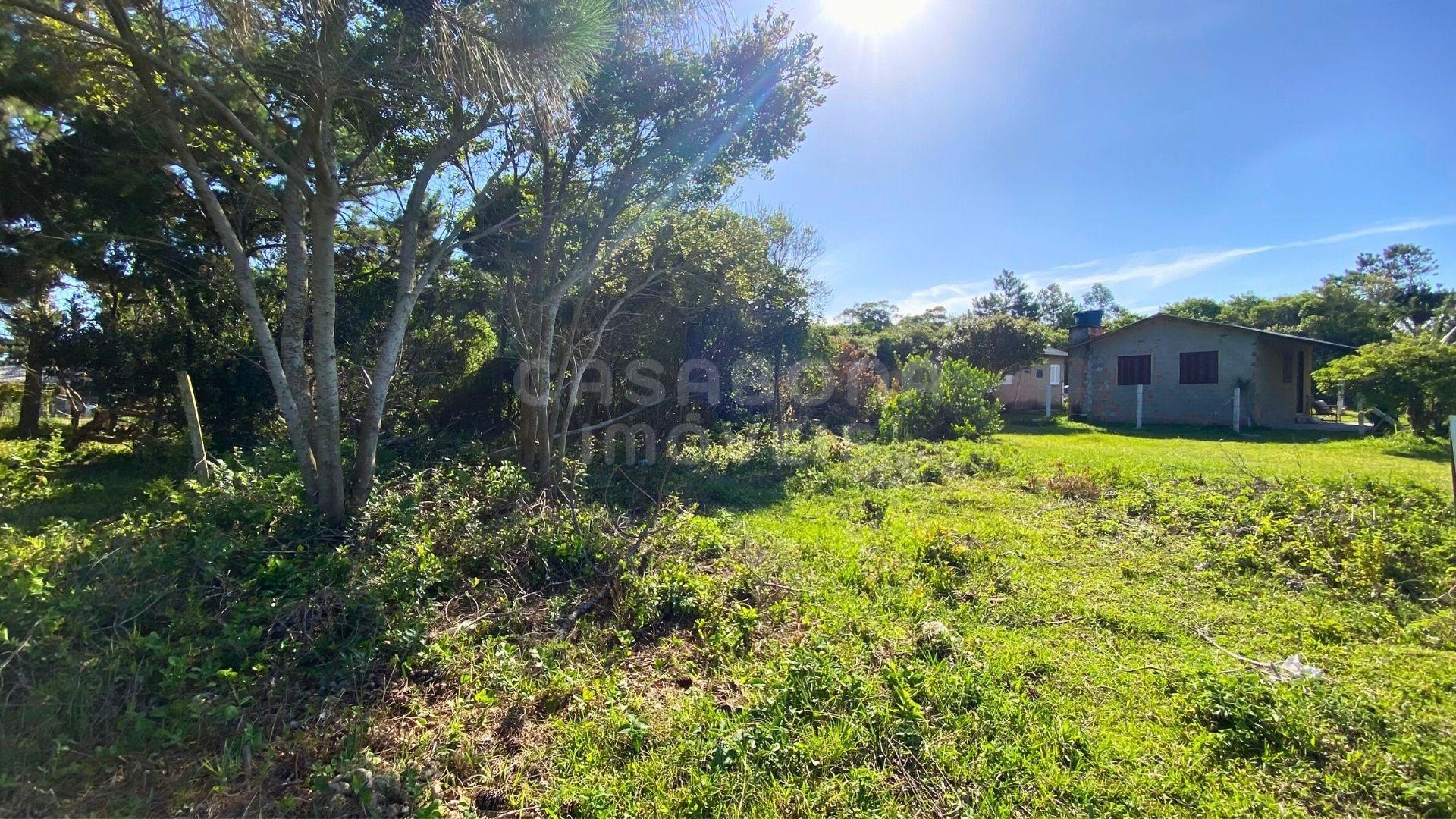 Terreno 11 x 29,7 no Balneário Figueirinha – Amplitude, Valorização e Excelente Iluminação