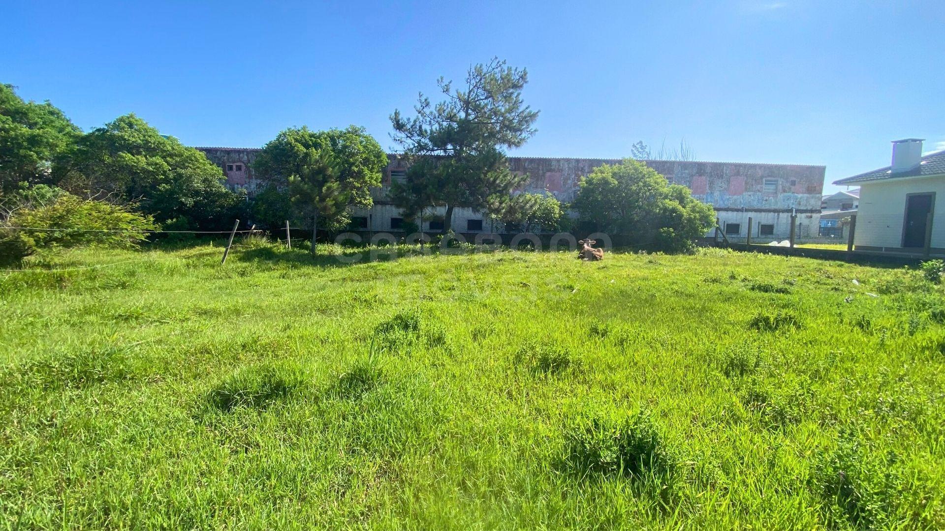 Terreno 12 x 25 no Balneário Figueirinha – Iluminação Privilegiada e Excelente Potencial de Construção