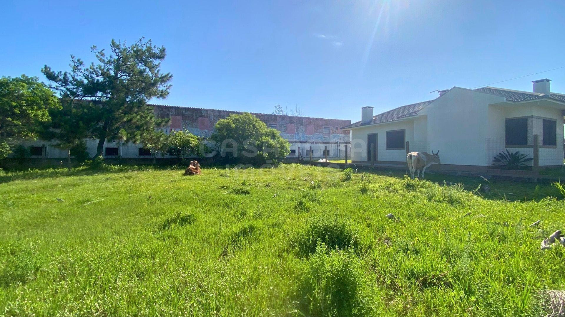 Terreno 12 x 25 no Balneário Figueirinha – Iluminação Privilegiada e Excelente Espaço para Construir