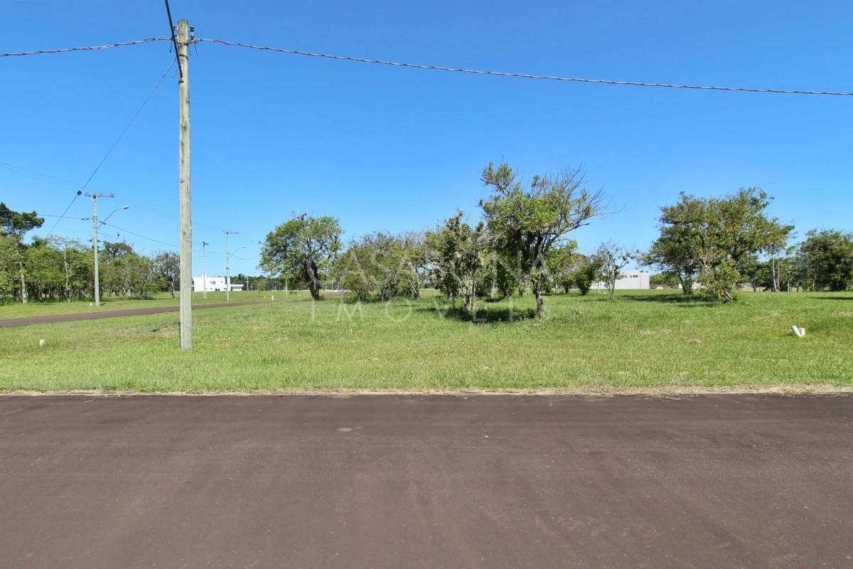 Desfrute do Parque das Figueiras: Seu Refúgio de Tranquilidade