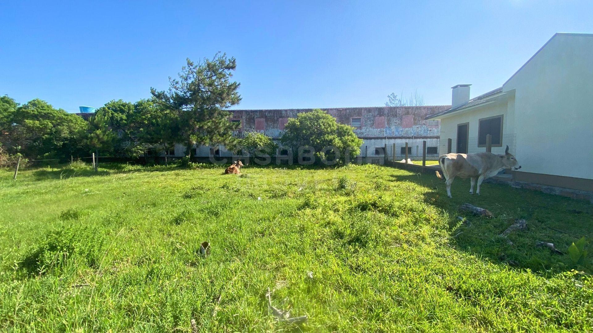 Terreno 12 x 25 no Balneário Figueirinha – Iluminação Privilegiada e Excelente Espaço para Construir