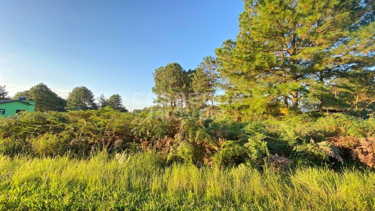 Terreno Residencial em Pinus Park, Arroio do Sal