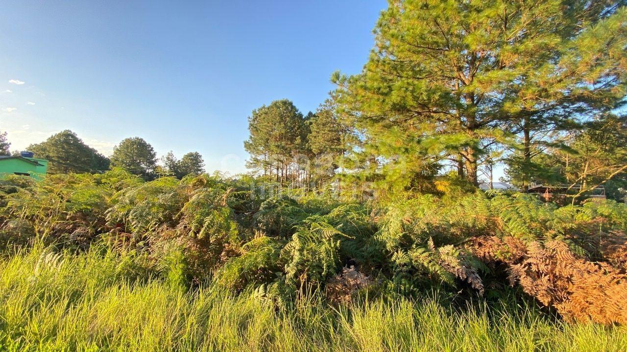 Terreno Residencial em Pinus Park, Arroio do Sal