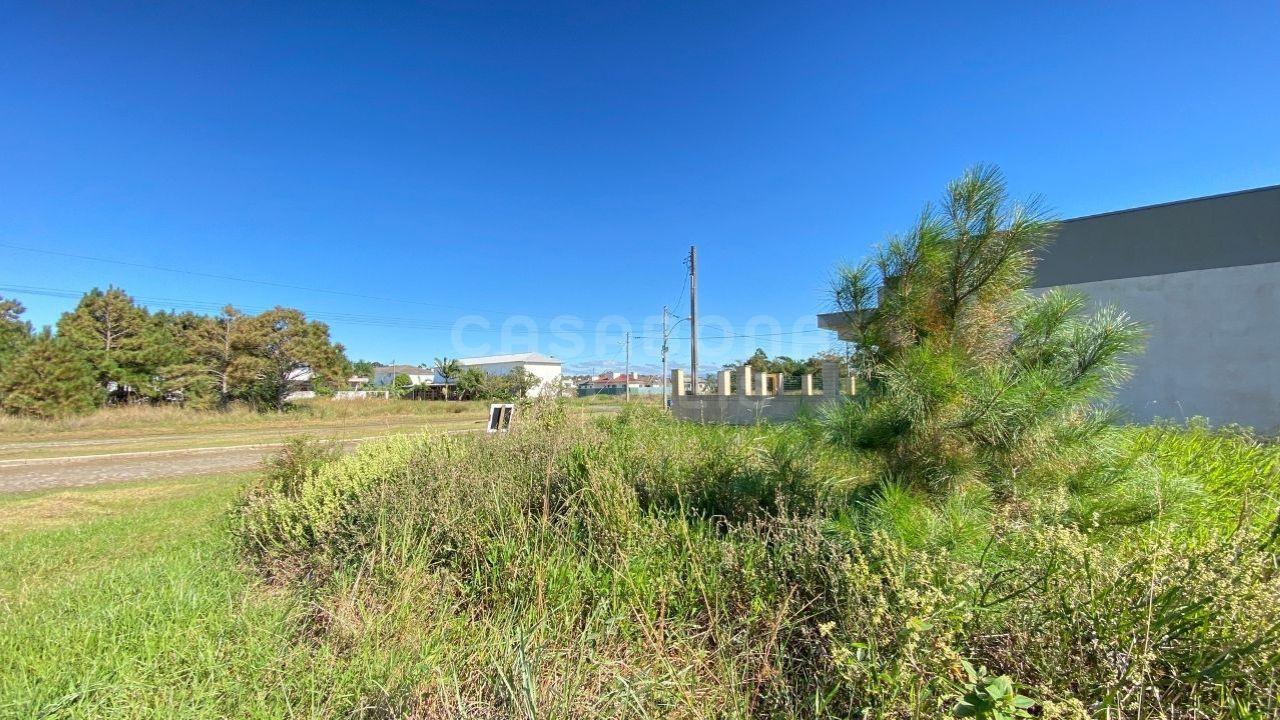 Terreno Amplo em Rua Residencial - Balneário Vista Alegre