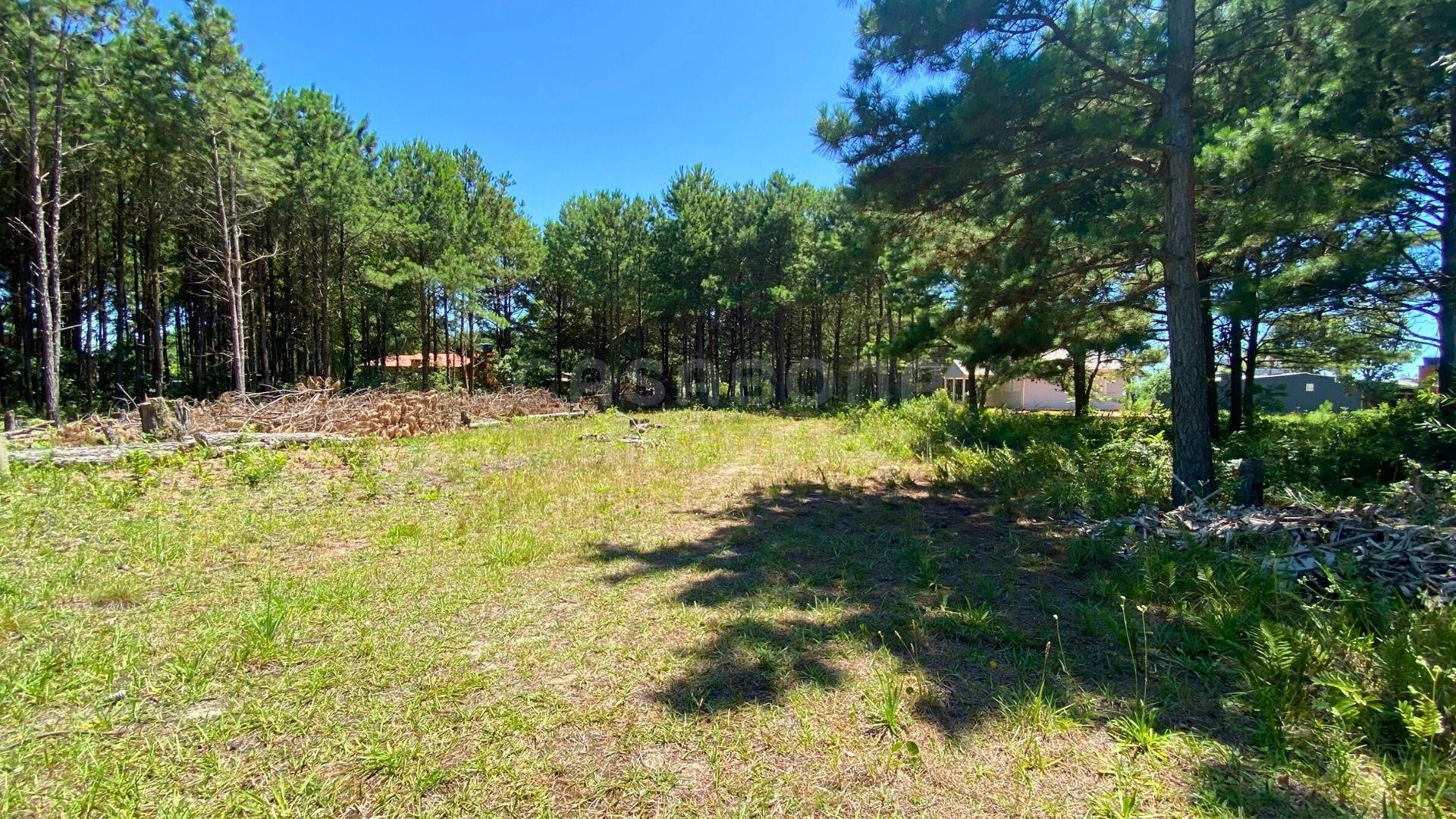 Terreno no Balneário Atlântico – Amplitude e Potencial para Construção