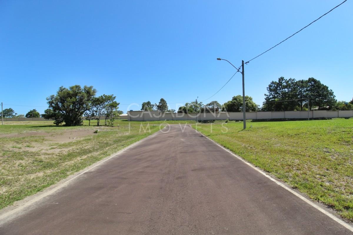 Explore o Parque das Figueiras: Conexão com Sua Essência