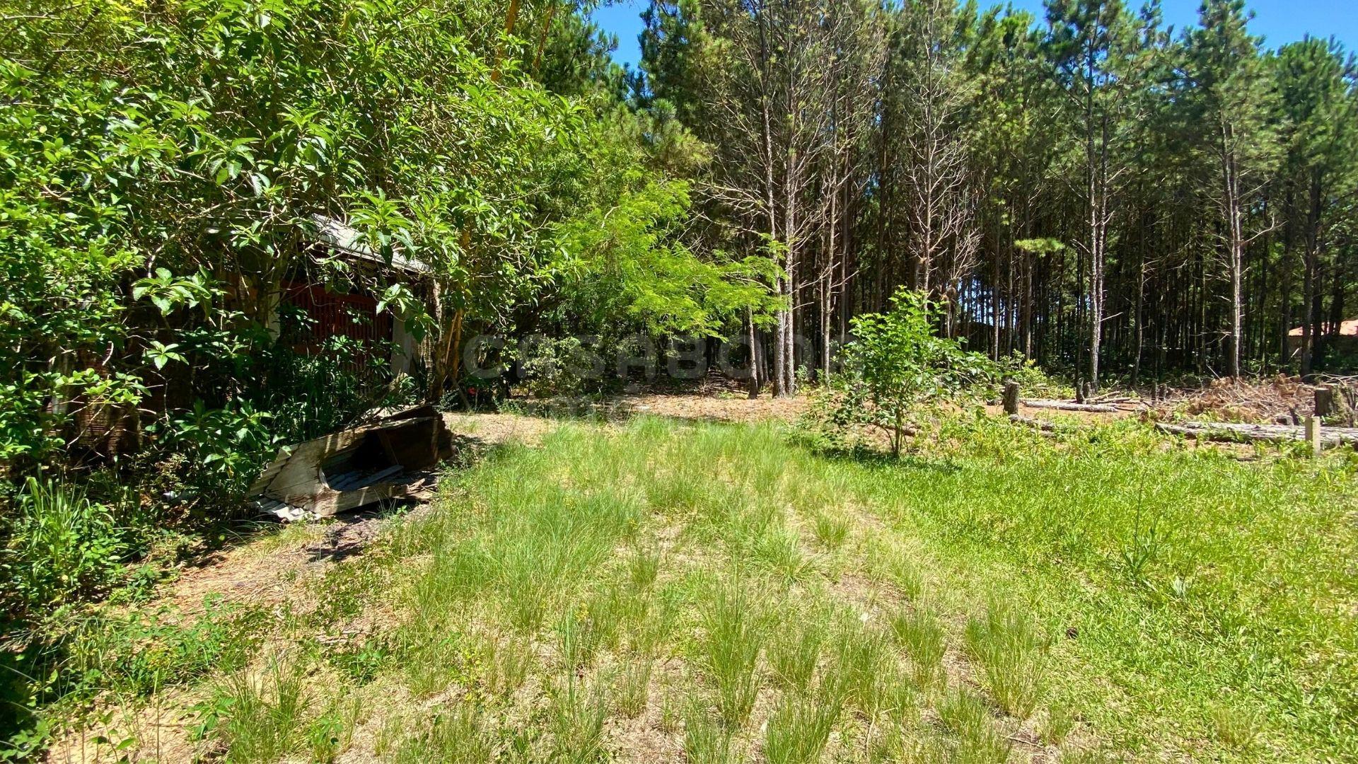 Terreno no Balneário Atlântico – Amplitude e Potencial para Construção