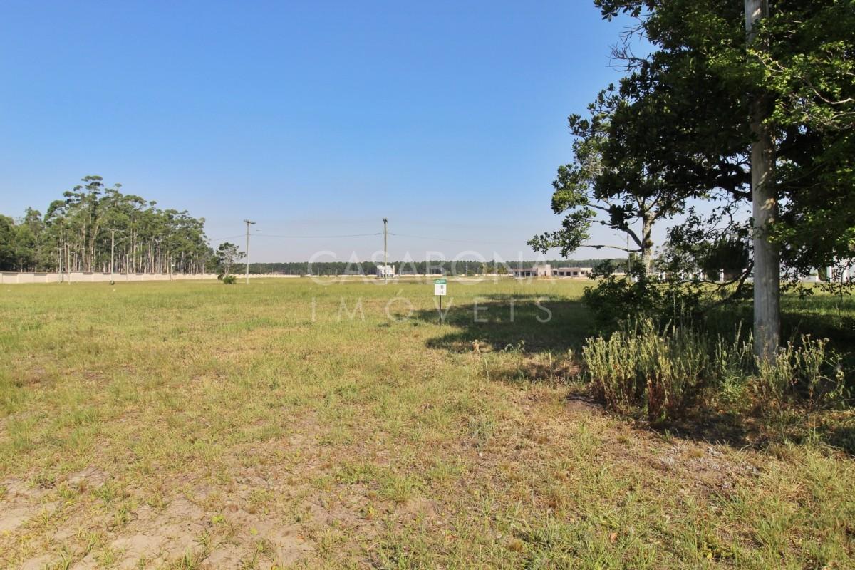 Parque das Figueiras: Seu Refúgio Exclusivo