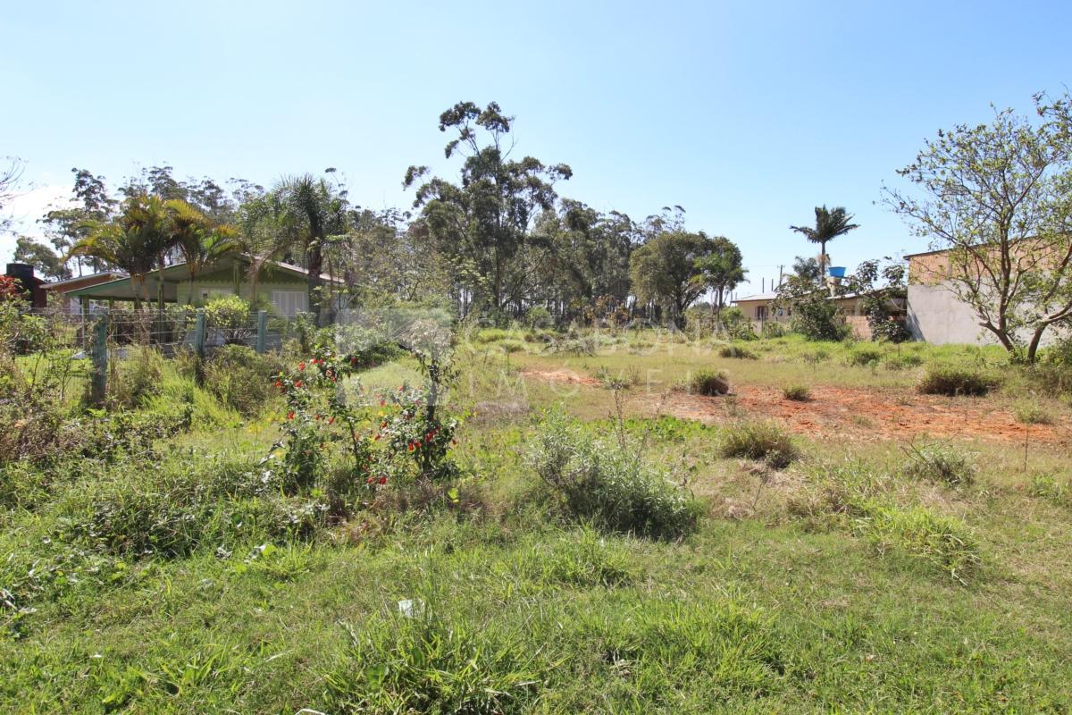 Excelente Oportunidade de Investimento em Área Comercial