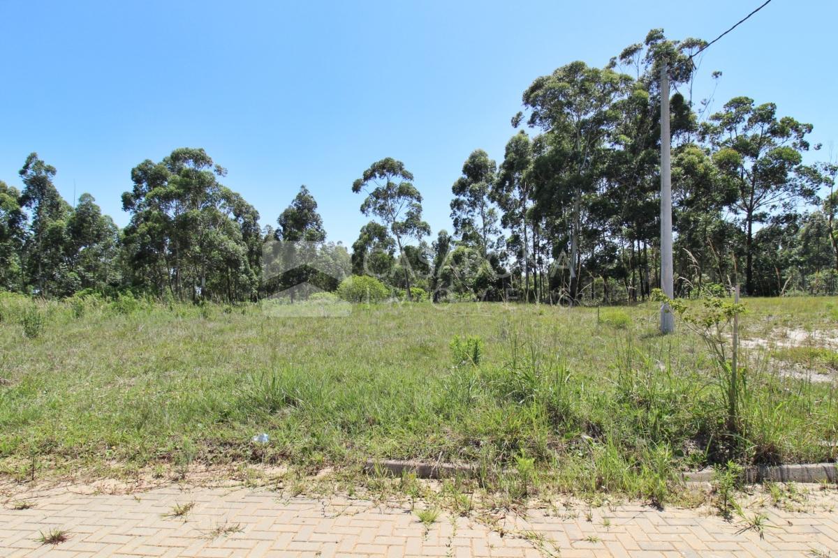 Terreno Espaçoso no Balneário Mar Del Plata