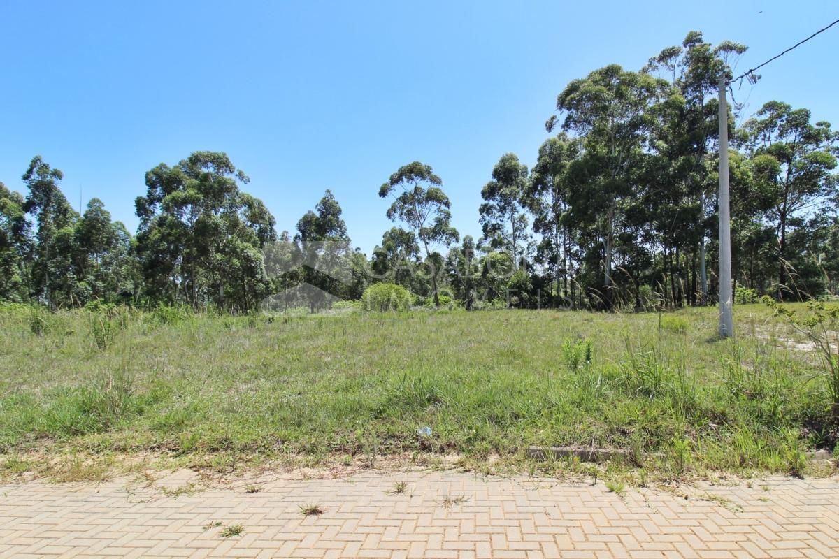 Terreno Espaçoso no Balneário Mar Del Plata