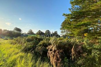 Imagem #1 do imóvel Terreno Residencial em Pinus Park, Arroio do Sal