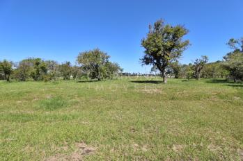 Imagem #2 do imóvel Viva no Parque das Figueiras: Sua Essência em Harmonia