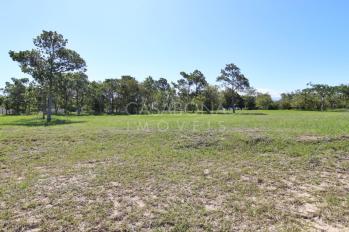 Imagem #2 do imóvel Explore o Parque das Figueiras: Sua Verdadeira Essência ao Seu Alcance