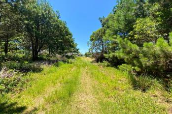 Imagem #3 do imóvel Terreno no Balneário Atlântico – Amplitude e Potencial para Construção