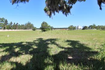 Imagem #1 do imóvel Lindo Terreno no Parque das Figueiras - Arroio do Sal
